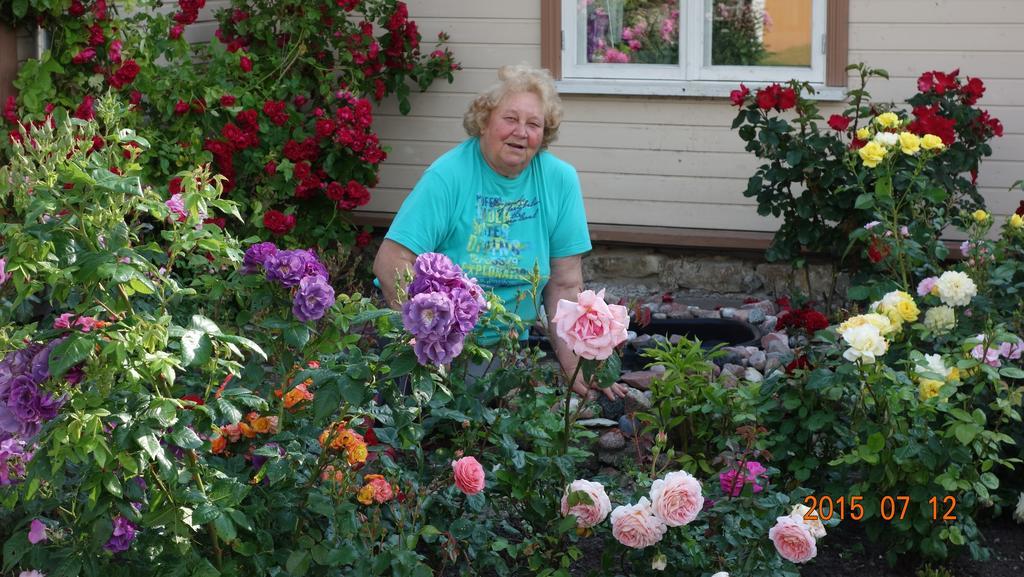 Adu-Jaani Kodumajutus Bed and Breakfast Matja Eksteriør billede